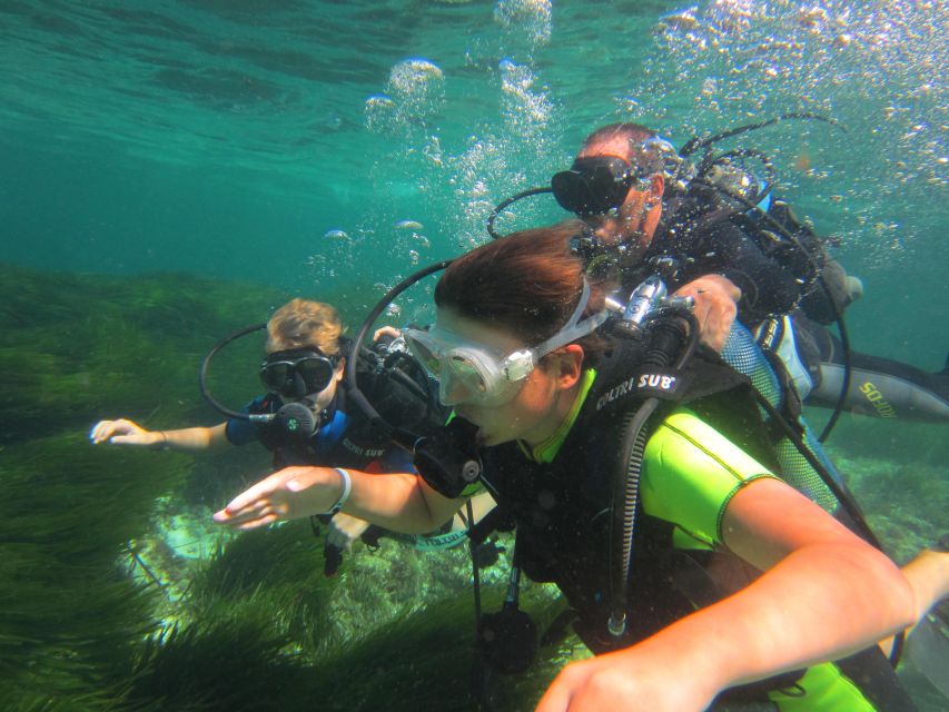 DISCOVER THE UNDERWATER WORLD, Scuba Diving Experience - Key highlights