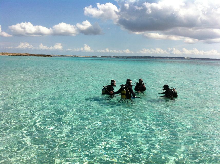 DISCOVER THE UNDERWATER WORLD, Scuba Diving Experience - Before the water: wetsuit, equipment setup, and beginner exercises