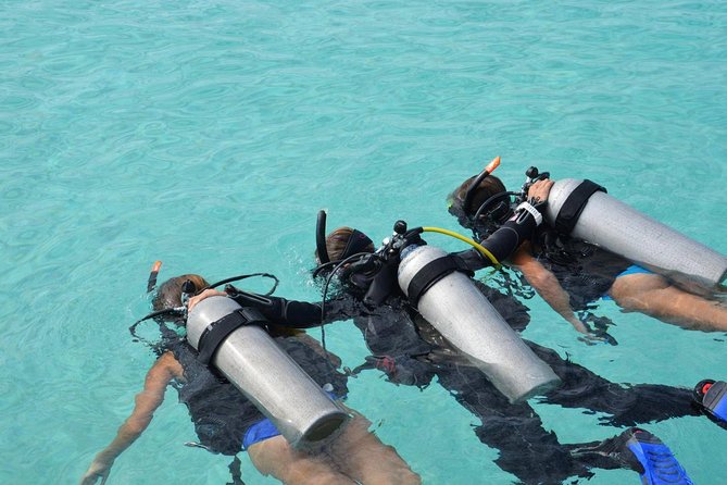 Discovery Scuba Dive. - Key highlights you’ll care about