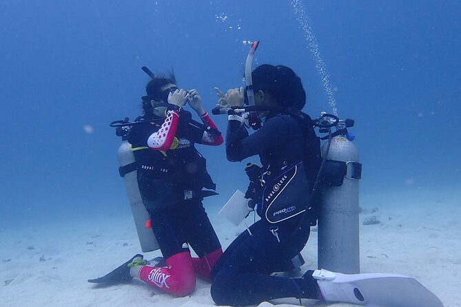 Discovery Scuba Dive. - Why the Costa Maya timing works well for 3 hours