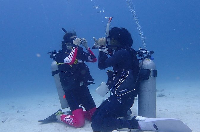 Discovery Scuba Dive. - Logistics and getting there: meeting point, public transit, and group size