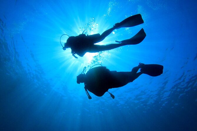 Discovery Scuba Dive. - Shore skills in shallow water: where confidence gets built