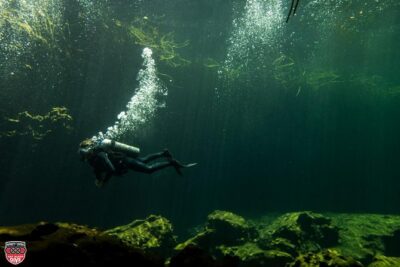 Discovery Scuba Diving !! - Your 4.5-Hour Timeline: Training, Briefing, and Reef Time