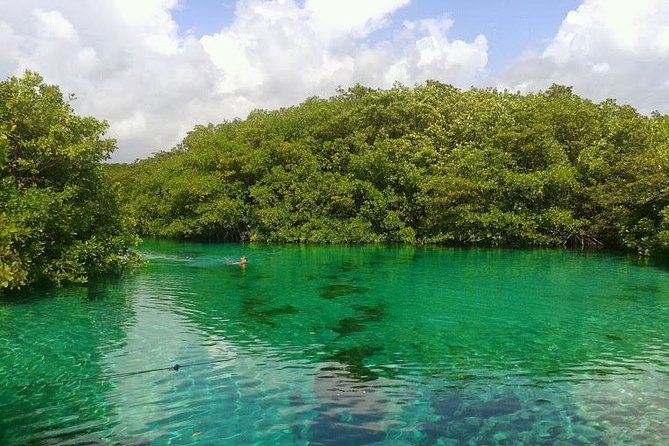 Discovery Scuba Diving - Where You Start: The Palenque 22 Meeting Point and Getting There