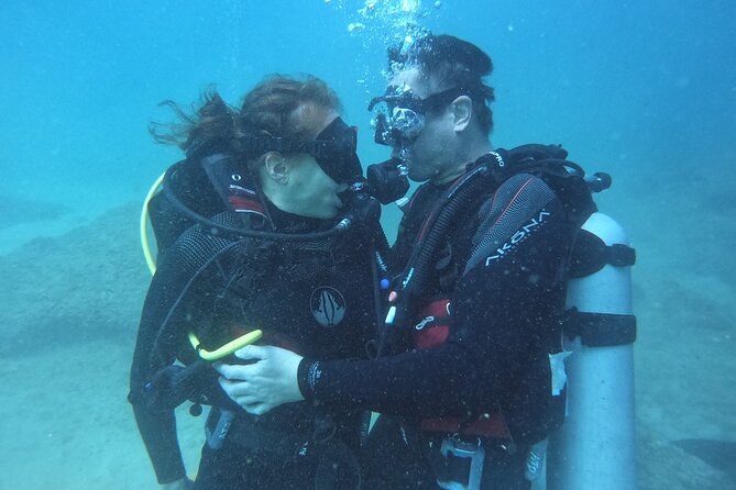 Discovery Scuba Diving in Dubai - Key highlights