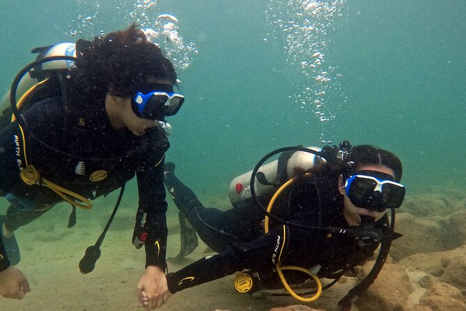 Discovery Scuba Diving in Dubai - Kite Beach beginner setup: why this spot works