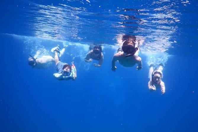 Discovery Scuba Diving & Snorkeling at Nha Trang Bay - Nha Trang Bay’s Hon Mun Marine Park: what you’re really signing up for