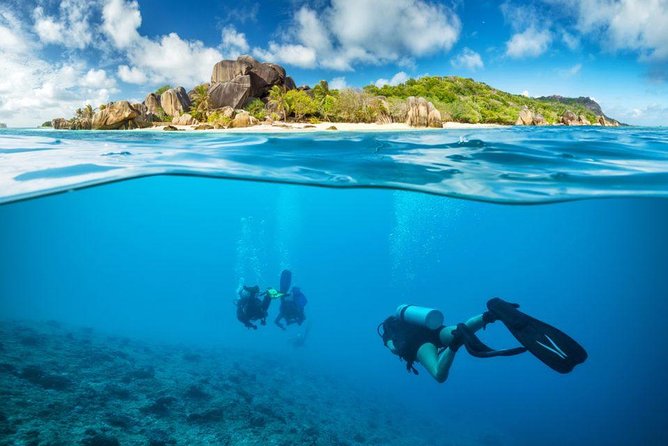 Discovery Scuba Diving & Snorkeling at Nha Trang Bay - Pickup, breakfast, lunch, and included gear: value you feel immediately