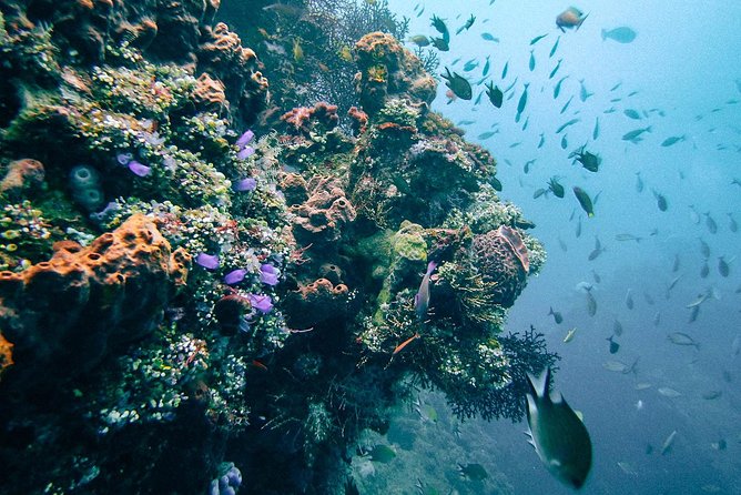 Dive at Tulamben Bali USS Liberty Ship Wreck - Tulamben Beach Start: The Setup That Makes the Day Smooth