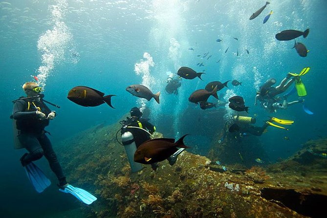 Dive at Tulamben Bali USS Liberty Ship Wreck - Group Size, Transfers, and the Pace of the Day
