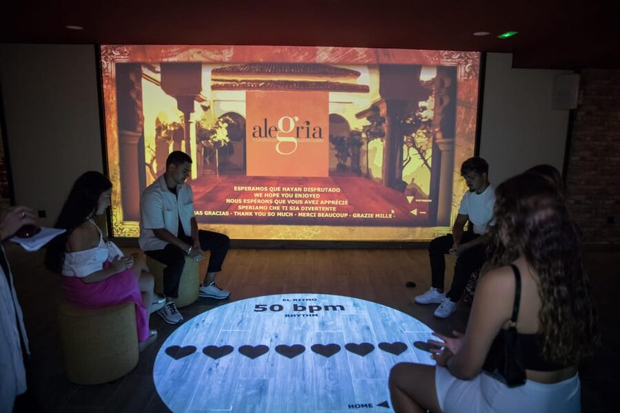 Dive In and Discover: Flamenco in an Interactive Journey - Flamenco, Explained Through 5 Interactive Screens in Málaga