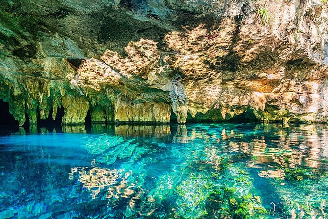 Dive into Tulum: Tour 3 Cenotes, from Riviera Maya - Stop 2: Luna—Jungle Surrounds and Light Through Openings