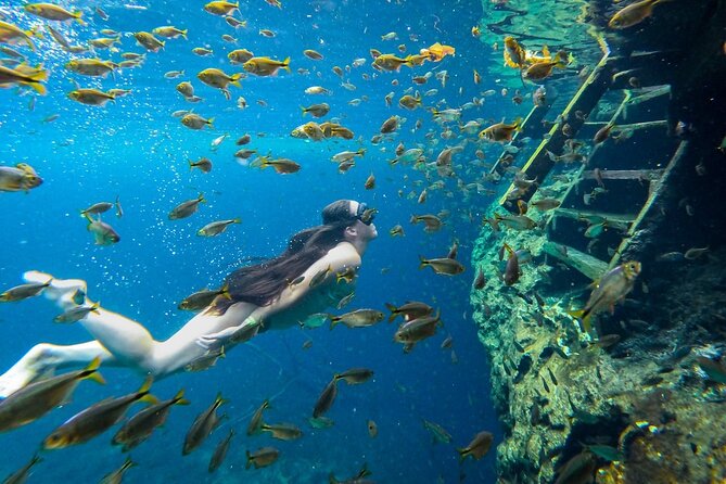 Dive into Tulum: Tour 3 Cenotes, from Riviera Maya - Stop 3: Sombra—A More Mysterious Underground Scene