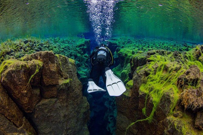 Dive the Divide: Silfra Fissure Scuba Tour | Reykjavik Pickup - Silfra Fissure at Þingvellir: the geology that makes it worth the trip