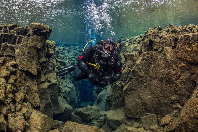 Dive the Divide: Silfra Fissure Scuba Tour | Reykjavik Pickup - Cold water reality check: temperature, visibility, and comfort strategy