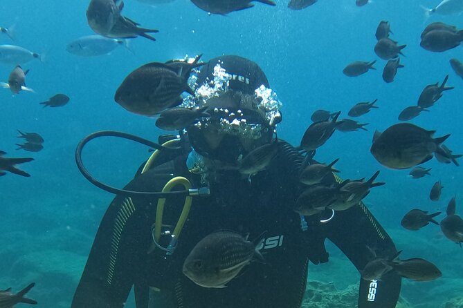 Dive The Rock (Scuba Diving Experience in Protaras) - Key highlights at a glance