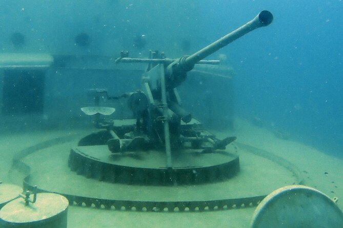 Dive Trip Experience in Koh Tao - What this Koh Samui to Koh Tao day trip is really like