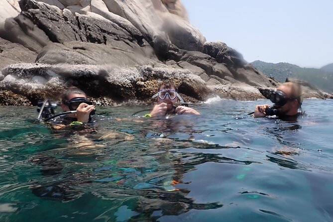 Dive Trip Experience in Koh Tao - Who this trip suits best (and who should think twice)