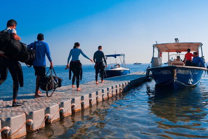 Dive trip to the coral reefs of Fujairah for certified scuba divers - Key highlights (worth knowing before you go)