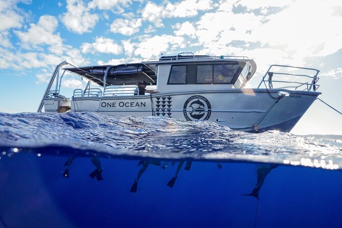 Dive with Sharks in Hawaii: Shark Tour from Haleiwa - The safety briefing that makes the whole experience feel manageable