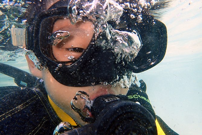 DiveGurus -Scuba Diving for Kids(Ages 6-11yrs) - Price and value: is $80 for 4 hours reasonable?