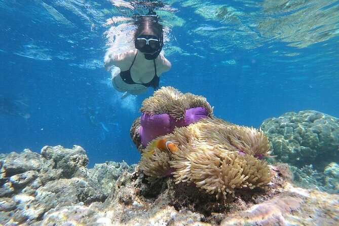 Diving And Snorkeling To Ras Mohamed And White Island By VIP Boat - The short scuba session: friendly coaching, beginner pace