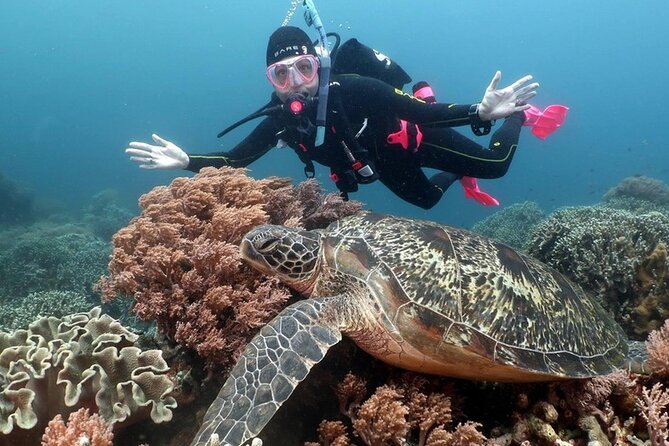 Diving And Snorkeling To Ras Mohamed And White Island By VIP Boat - On-board lunch, coffee/tea, and drinks all day