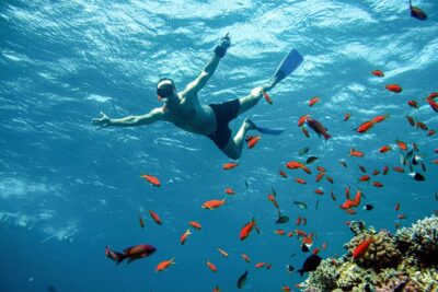 Diving and Visiting Giftun island with Snorkeling Boat Trip - Getting to the boat: pickup, timing, and what to expect