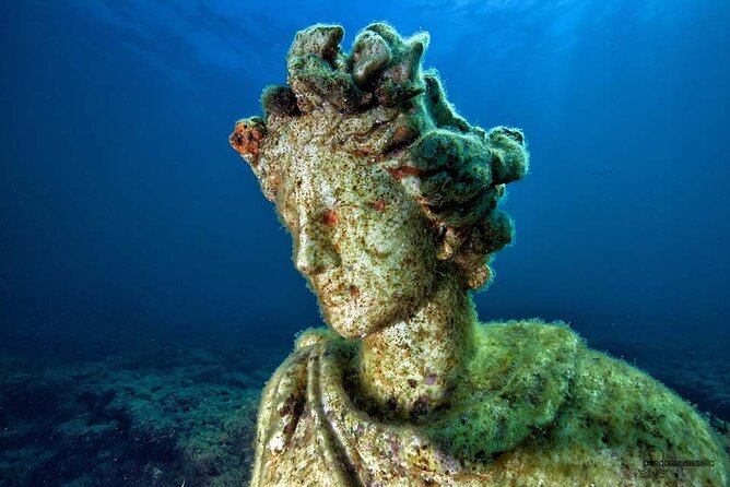 Diving at the Baia Submerged Park for certified divers - Quick hits before you book
