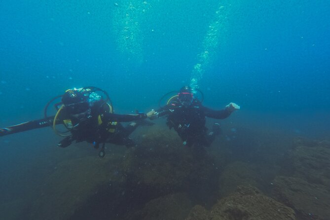 Diving at the Baia Submerged Park for certified divers - Baia Submerged Park: what you’ll see and why it’s special