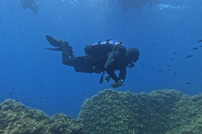 Diving at the Baia Submerged Park for certified divers - A stop-by-stop look at the itinerary (and what each one adds)