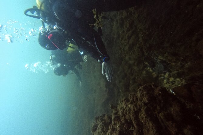 Diving at the Baia Submerged Park for certified divers - Gear, equipment quality, and what “included” means for your wallet