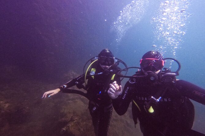 Diving at the Baia Submerged Park for certified divers - Price and value: is $99.94 a fair deal?