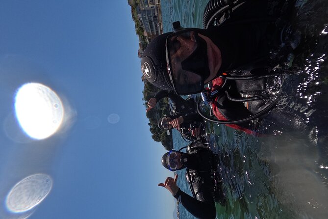Diving at the Baia Submerged Park for certified divers - Who should do this (and who should skip it)