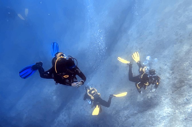 Diving baptism in the Marine Reserve of Cabo Tiñoso - What scuba baptism in Cabo Tiñoso is really about