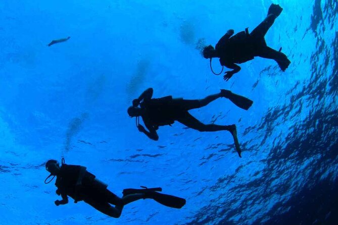 Diving baptism in the Marine Reserve of Cabo Tiñoso - Underwater breathing and that first real moment of calm
