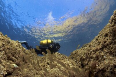 Diving baptism in the Marine Reserve of Cabo Tiñoso - The 4:30 pm start in La Azohía: timing that fits real travel days