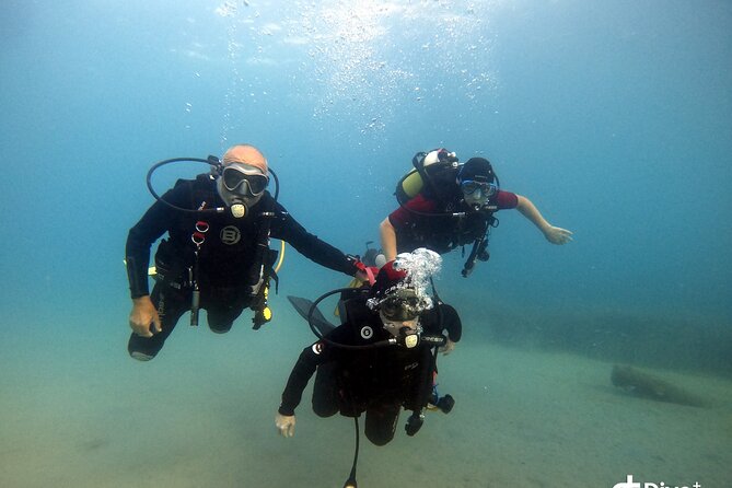 Diving baptism in the Marine Reserve of Cabo Tiñoso - Why the group size (max 6) is part of the value