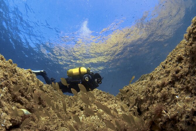 Diving baptism in the Marine Reserve of Cabo Tiñoso - The 4:30 pm start in La Azohía: timing that fits real travel days