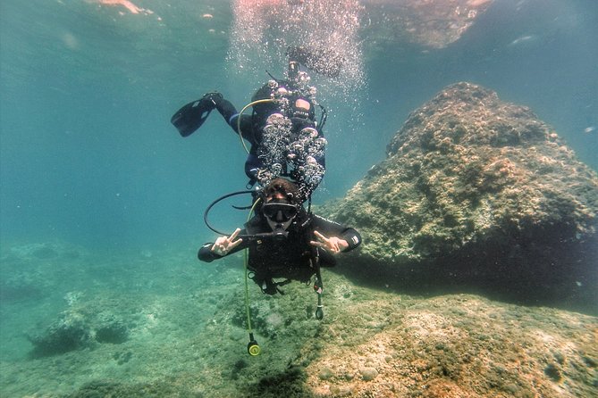 Diving baptism in the Montgrí Natural Park - L’Estartit meet-up: where your day starts