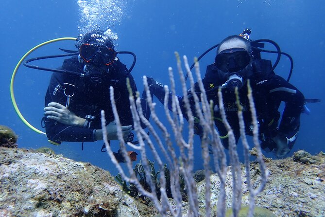 Diving baptism in the Montgrí Natural Park - Health and safety: who should bring a certificate (or skip this)