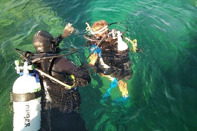 Diving baptism with cylinders (Introdive) at the Capo Carbonara Marine Protected Area - Key Points You Should Know Before You Go