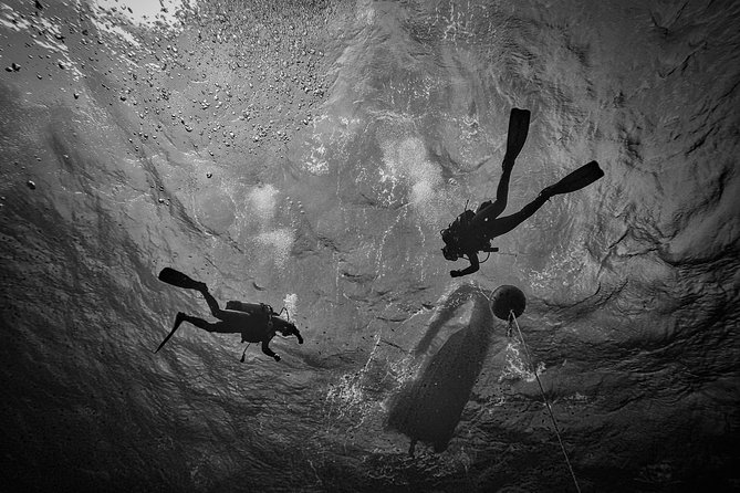 Diving baptism with cylinders (Introdive) at the Capo Carbonara Marine Protected Area - Price and Value: Does $97.44 Add Up?
