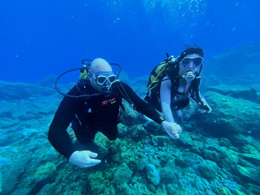 Diving course for beginners in turtle area Tenerife - Playa Abades meeting point: where the training starts