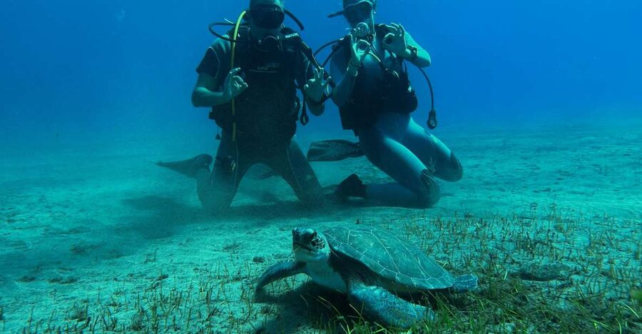 Diving course for beginners in turtle area Tenerife - The first lesson underwater: learning to breathe with confidence