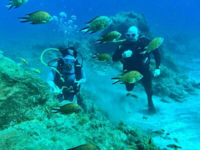 Diving course for beginners in turtle area Tenerife - Getting suited up: gear, wetsuit comfort, and quick checks