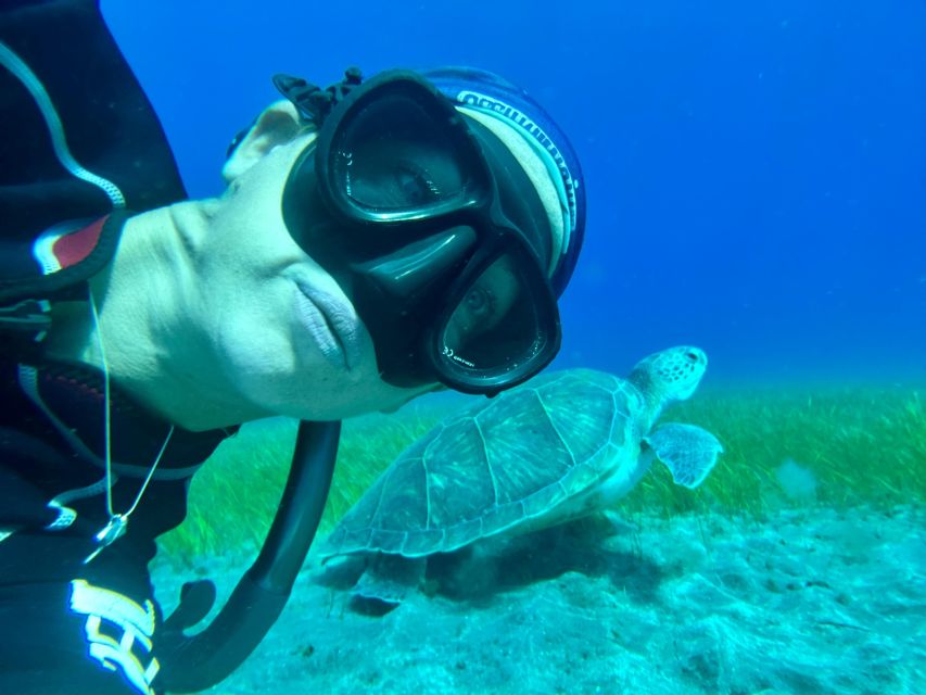 Diving course for beginners in turtle area Tenerife - Photos and your certification card: the best part after the water