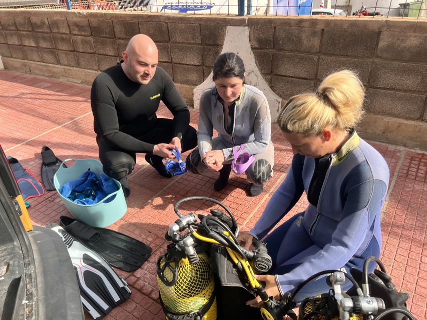 Diving course for beginners in turtle area Tenerife - Who this is best for (and who should skip it)