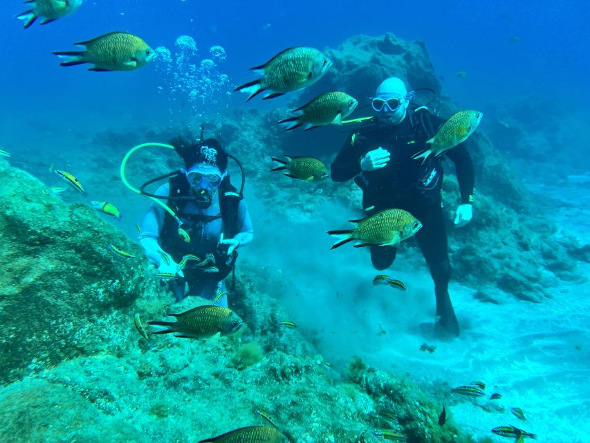 Diving course for beginners in turtle area Tenerife - Getting suited up: gear, wetsuit comfort, and quick checks