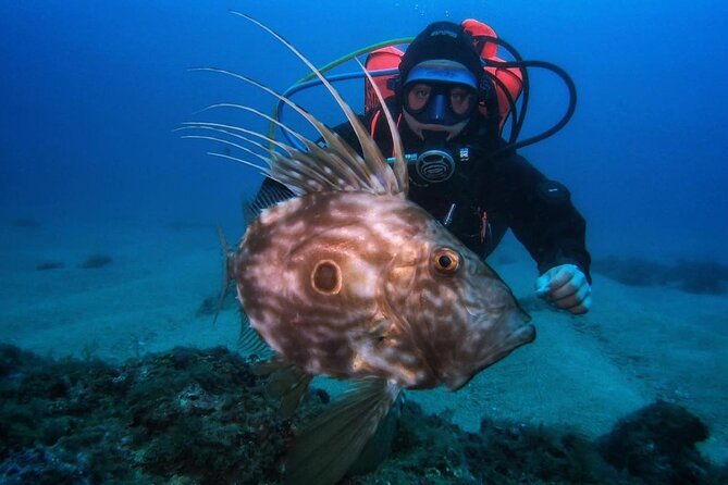 Diving Course with PADI Certification in Costa Brava - Meeting at Carrer Lope Mateo: Your Day Starts at 9:00 am